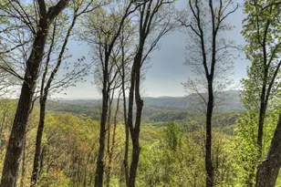 783 Moreland Dr N, Cherrylog, GA 30522 - Photo 11