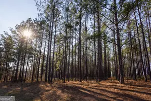 1578 Edsel Senn Rd, Rockledge, GA 30454 - Photo 31