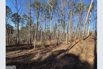 192 Mountain Trail, Martin, GA 30557 - Photo 3