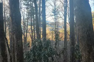 0 Hawkeye Trl Lot 7C, Rabun Gap, GA 30568 - Photo 1