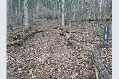 0 Lot 7C Hawkeye Trail, Rabun Gap, GA 30568 - Photo 3