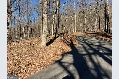 0 Sassafras Court #4546, Jasper, GA 30143 - Photo 9