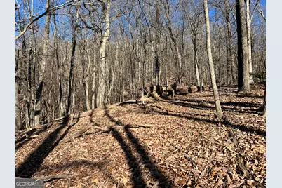 0 Sassafras Court #4546, Jasper, GA 30143 - Photo 5