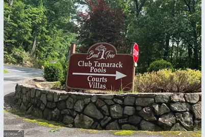 0 Sassafras Court #4546, Jasper, GA 30143 - Photo 11