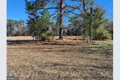 4162 Cat Creek Road, Valdosta, GA 31605 - Photo 5