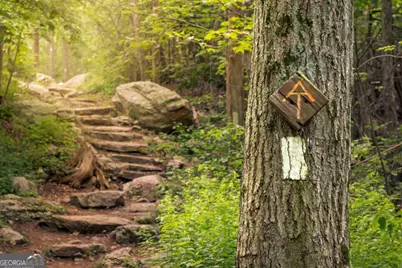 673 Autumn Ridge Drive, Clayton, GA 30525 - Photo 29