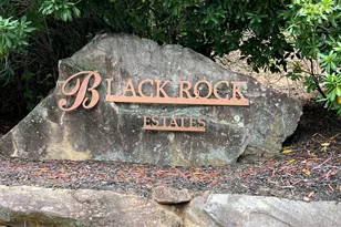 673 Autumn Ridge Dr, Clayton, GA 30525 - Photo 3