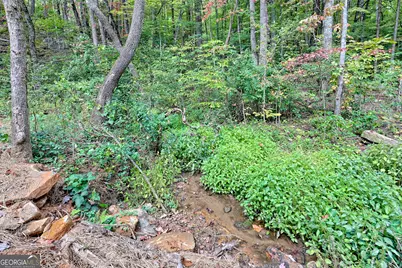 673 Autumn Ridge Drive, Clayton, GA 30525 - Photo 25