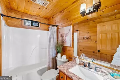 907 Ripshin Mountain Road, Blue Ridge, GA 30513 - Photo 23