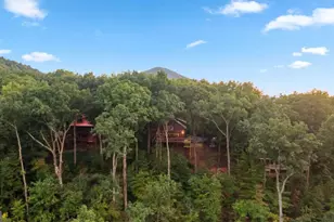 907 Ripshin Mountain Rd, Blue Ridge, GA 30513 - Photo 51