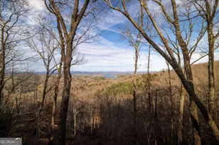 907 Ripshin Mountain Rd, Blue Ridge, GA 30513 - Photo 47