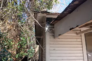 801 Byron Rd, Albany, GA 31701 - Photo 13