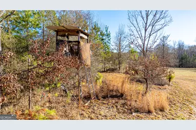 2161 Bear Creek Road, Moreland, GA 30259 - Photo 139