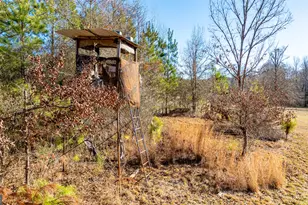 2161 Bear Creek Rd, Moreland, GA 30259 - Photo 139