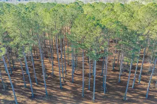 2161 Bear Creek Rd, Moreland, GA 30259 - Photo 123