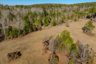 2161 Bear Creek Rd, Moreland, GA 30259 - Photo 129