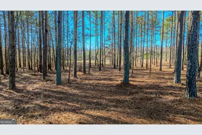 2161 Bear Creek Road, Moreland, GA 30259 - Photo 131