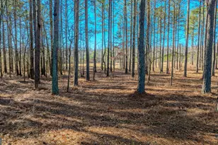 2161 Bear Creek Rd, Moreland, GA 30259 - Photo 131