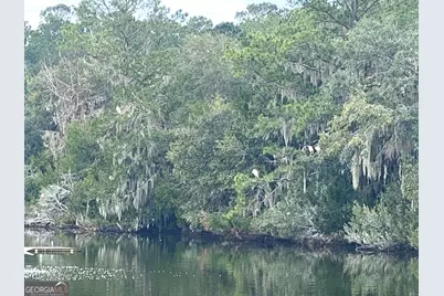 1 Old Cane Mill Drive, Darien, GA 33150 - Photo 9