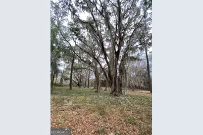 1 Old Cane Mill Drive, Darien, GA 33150 - Photo 7