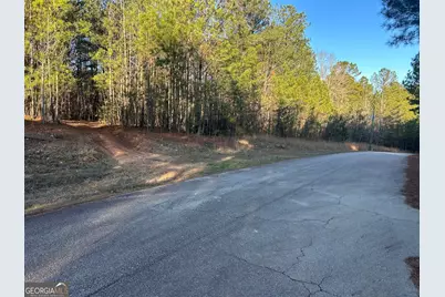 0 Erskine Drive #LOT 16, Monticello, GA 31064 - Photo 3