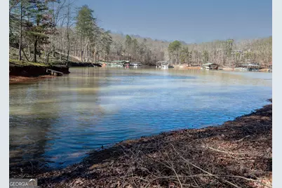 29 Cove Hbr, Lavonia, GA 30553 - Photo 51