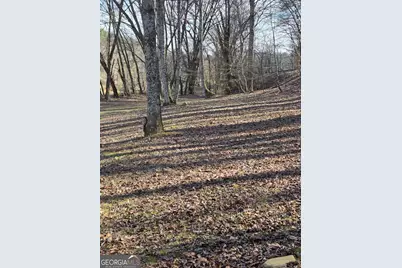 Lot 59 River Ridge Drive, Blue Ridge, GA 30513 - Photo 23