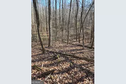 Lot 59 River Ridge Drive, Blue Ridge, GA 30513 - Photo 7