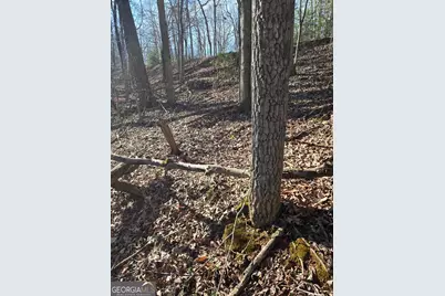 Lot 59 River Ridge Drive, Blue Ridge, GA 30513 - Photo 13