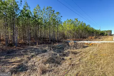 375 Bagley, Forsyth, GA 31029 - Photo 11