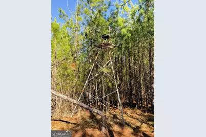 375 Bagley, Forsyth, GA 31029 - Photo 17