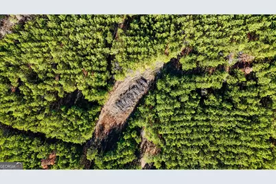 375 Bagley, Forsyth, GA 31029 - Photo 5