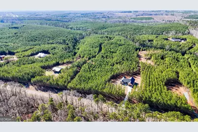 375 Bagley, Forsyth, GA 31029 - Photo 9