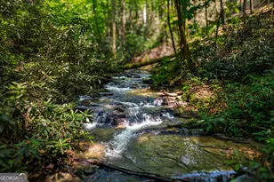 122 Laurel Creek Trail, Cherrylog, GA 30522 - Photo 9