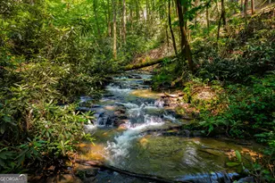 122 Laurel Creek Trail, Cherrylog, GA 30522 - Photo 9