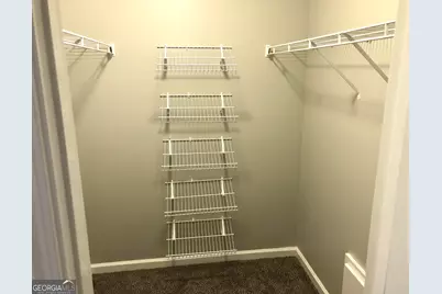 164 Turner Creek Drive, Hampton, GA 30228 - Photo 41