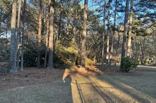 164 Turner Creek Dr, Hampton, GA 30228 - Photo 33