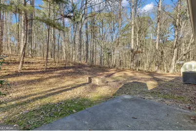 115 Park Timbers Drive, Sharpsburg, GA 30277 - Photo 49