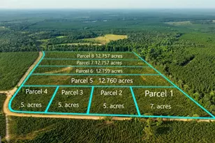 Parcel 3 Whipporwill Rd, Reynolds, GA 31076 - Photo 1