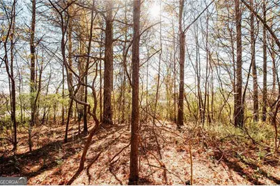 0 Bill Carruth Parkway, Hiram, GA 30141 - Photo 9