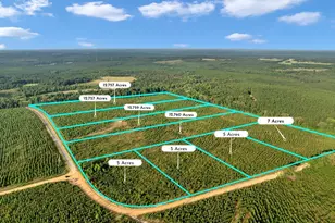 Parcel 5 Carl Rodgers Rd, Reynolds, GA 31076 - Photo 1