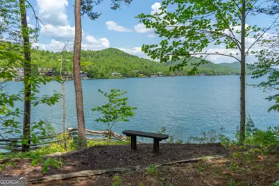 1 Burton Island, Tiger, GA 30576 - Photo 89