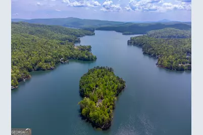 1 Burton Island, Tiger, GA 30576 - Photo 87