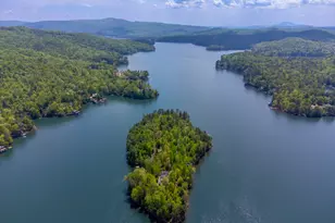 1 Burton Is, Tiger, GA 30576 - Photo 87