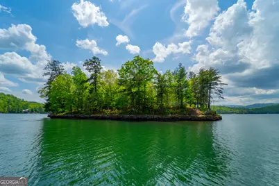 1 Burton Island, Tiger, GA 30576 - Photo 93