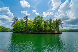 1 Burton Is, Tiger, GA 30576 - Photo 93