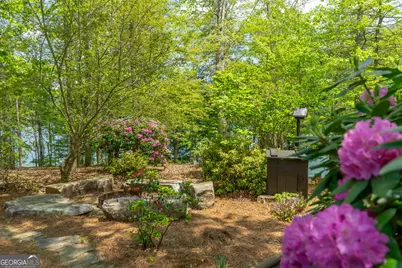 1 Burton Island, Tiger, GA 30576 - Photo 71