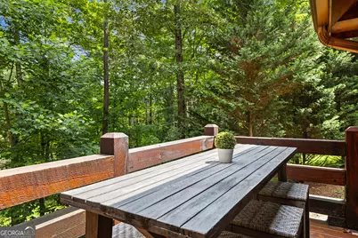 930 Power Dam Road, Blue Ridge, GA 30513 - Photo 39