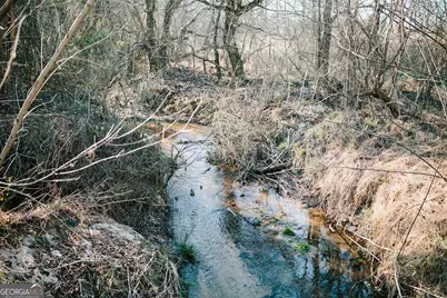 119 Ralph Bridges Road, Lexington, GA 30648 - Photo 63