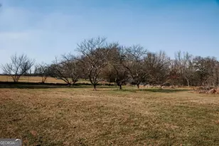 119 Ralph Bridges Rd, Lexington, GA 30648 - Photo 55